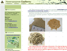 Tablet Screenshot of nsorbent.ru